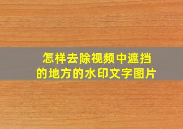 怎样去除视频中遮挡的地方的水印文字图片