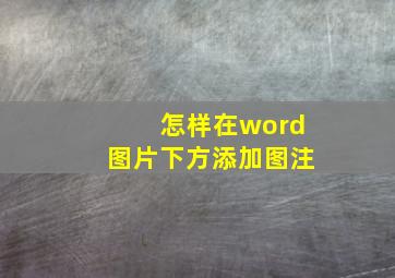 怎样在word图片下方添加图注