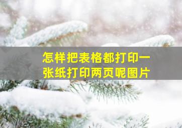 怎样把表格都打印一张纸打印两页呢图片