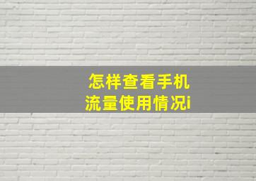 怎样查看手机流量使用情况i