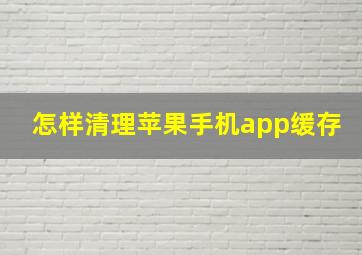 怎样清理苹果手机app缓存