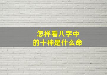 怎样看八字中的十神是什么命