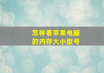 怎样看苹果电脑的内存大小型号