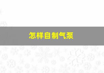 怎样自制气泵