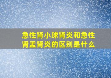 急性肾小球肾炎和急性肾盂肾炎的区别是什么