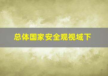 总体国家安全观视域下