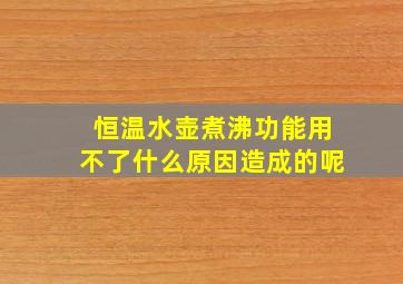 恒温水壶煮沸功能用不了什么原因造成的呢