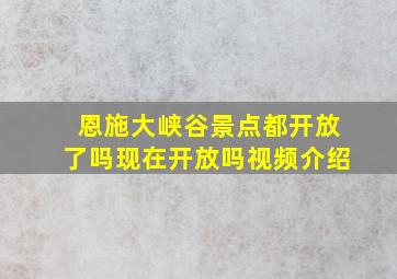 恩施大峡谷景点都开放了吗现在开放吗视频介绍