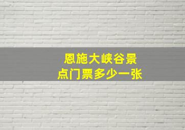 恩施大峡谷景点门票多少一张