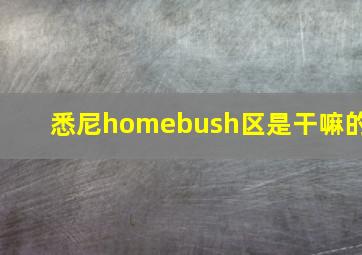 悉尼homebush区是干嘛的