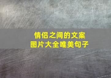 情侣之间的文案图片大全唯美句子