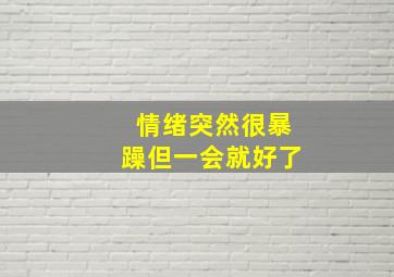 情绪突然很暴躁但一会就好了