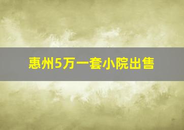 惠州5万一套小院出售