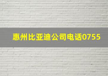 惠州比亚迪公司电话0755