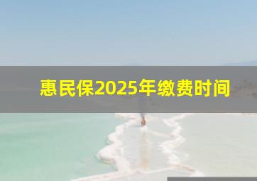 惠民保2025年缴费时间