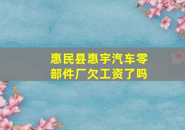 惠民县惠宇汽车零部件厂欠工资了吗