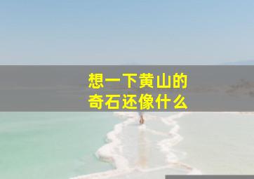 想一下黄山的奇石还像什么