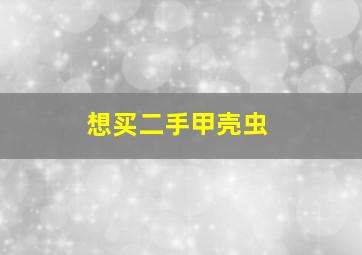 想买二手甲壳虫