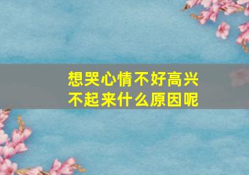 想哭心情不好高兴不起来什么原因呢