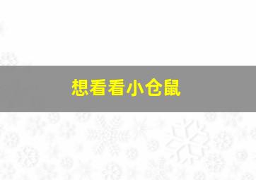 想看看小仓鼠