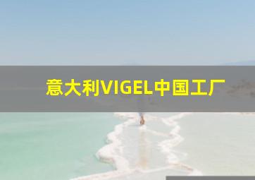 意大利VIGEL中国工厂