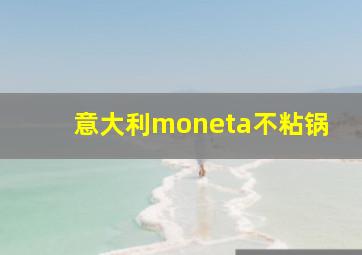 意大利moneta不粘锅