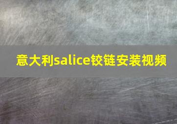 意大利salice铰链安装视频