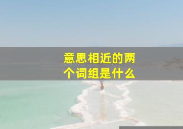 意思相近的两个词组是什么