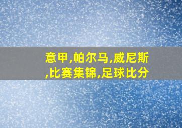 意甲,帕尔马,威尼斯,比赛集锦,足球比分