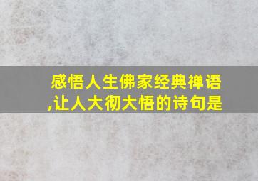 感悟人生佛家经典禅语,让人大彻大悟的诗句是