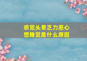 感觉头晕乏力恶心想睡觉是什么原因