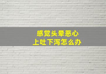 感觉头晕恶心上吐下泻怎么办