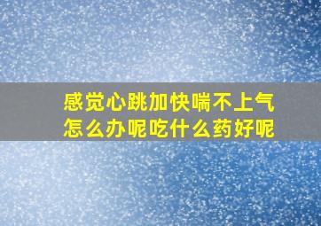 感觉心跳加快喘不上气怎么办呢吃什么药好呢