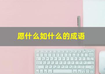 愿什么如什么的成语