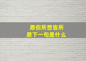 愿你所想皆所愿下一句是什么