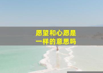 愿望和心愿是一样的意思吗