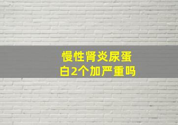 慢性肾炎尿蛋白2个加严重吗