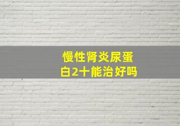 慢性肾炎尿蛋白2十能治好吗