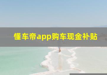 懂车帝app购车现金补贴