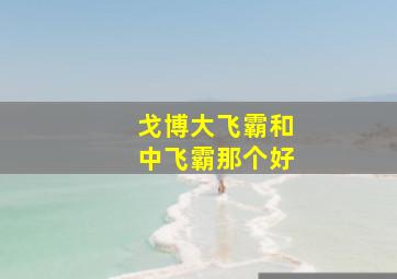 戈博大飞霸和中飞霸那个好