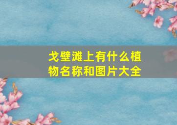 戈壁滩上有什么植物名称和图片大全