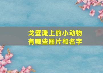 戈壁滩上的小动物有哪些图片和名字