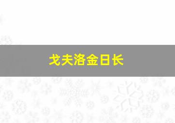 戈夫洛金日长