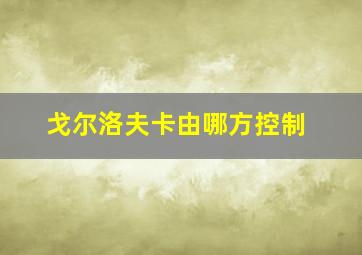 戈尔洛夫卡由哪方控制