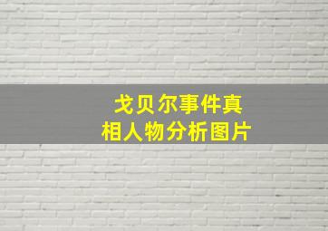 戈贝尔事件真相人物分析图片