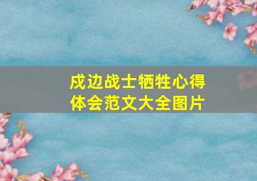 戍边战士牺牲心得体会范文大全图片