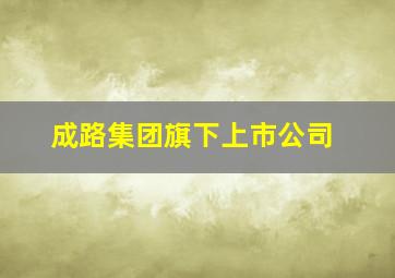 成路集团旗下上市公司