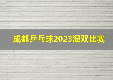 成都乒乓球2023混双比赛