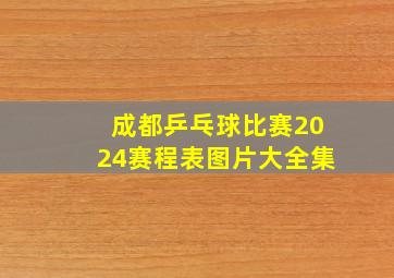 成都乒乓球比赛2024赛程表图片大全集