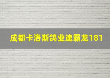 成都卡洛斯鸽业速霸龙181